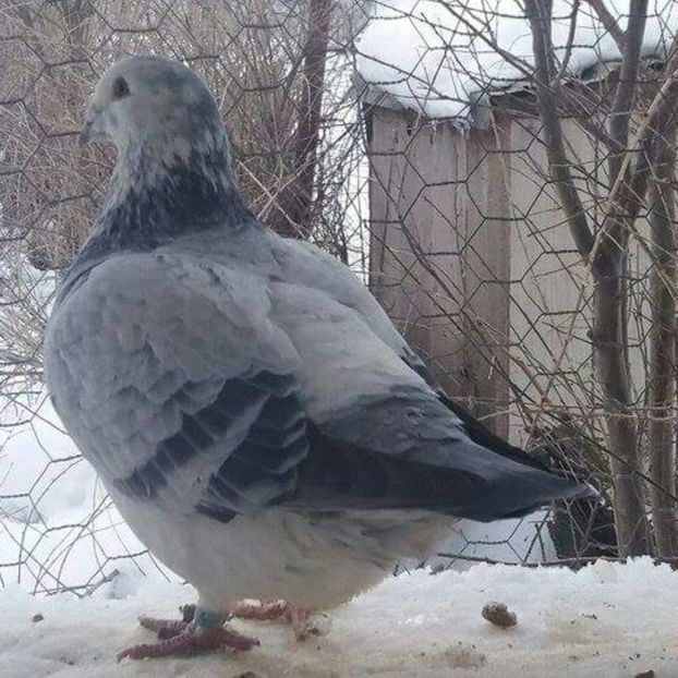 received_1922871637947602-1