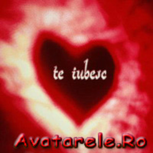 198 - poze de pus la ava