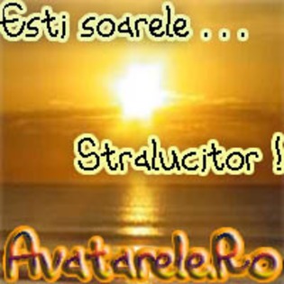 210 - poze de pus la ava