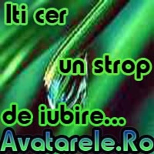 216 - poze de pus la ava
