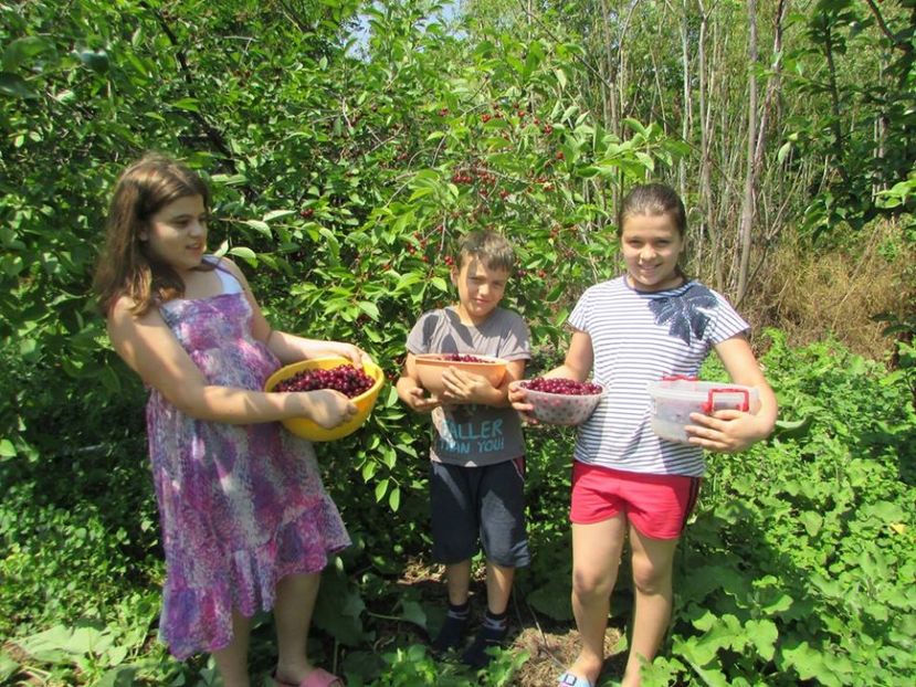 11651085_10200976750418549_1444094742_n (1)