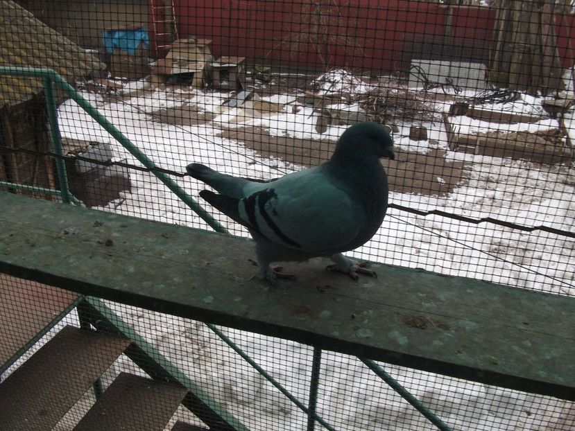 fata 2016; fata 2016
