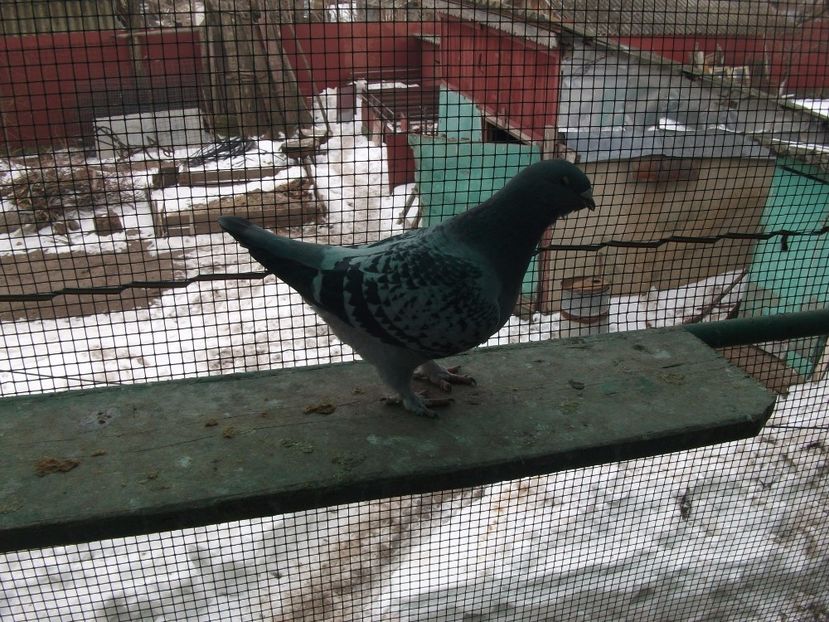 fata 2016; fata 2016
