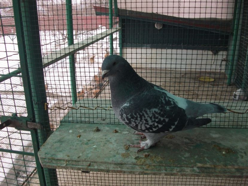 fata 2016; fata 2016
