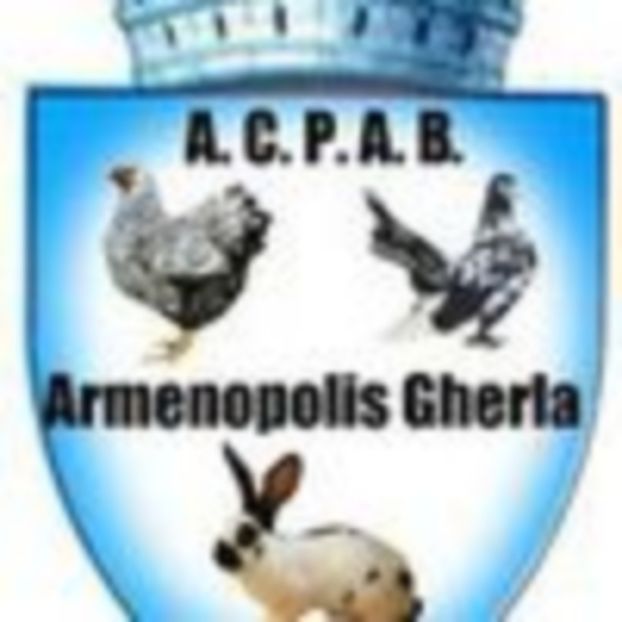 Armenopolis Gherla - 01 C O N T A C T