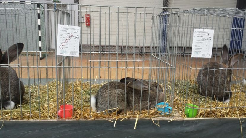 20170127_134106_Richtone(HDR)