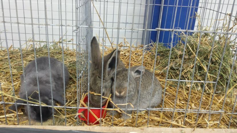 20170127_134321_Richtone(HDR)