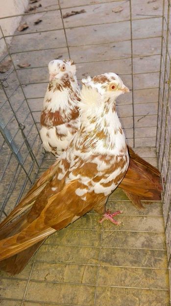 received_718893061618190