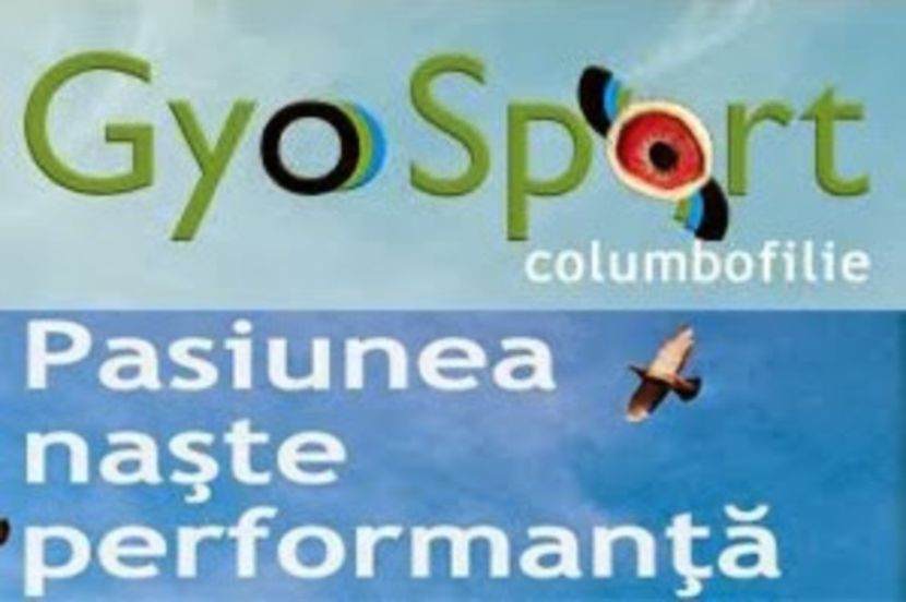 Gyo Sport