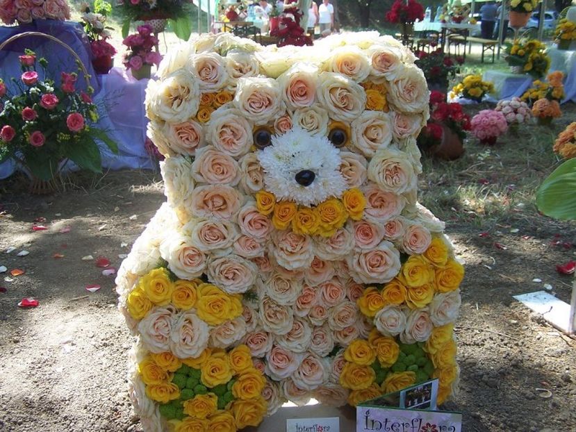 2178719090101197815GtPtIu_ph