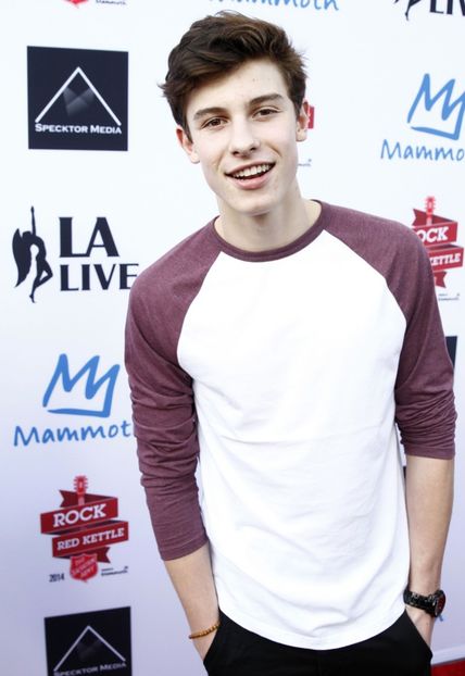 071615-shawn-mendes-lead - tvm