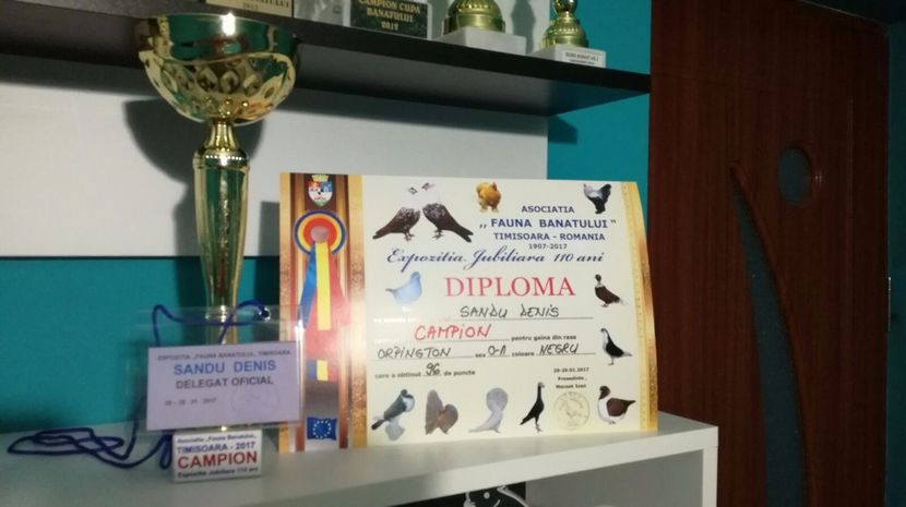 Campion Fauna Banatului - DIPLOME SI CUPE