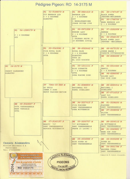 Pedigree RO 14 3175 M