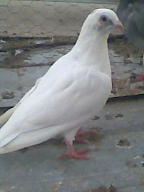 Imag014