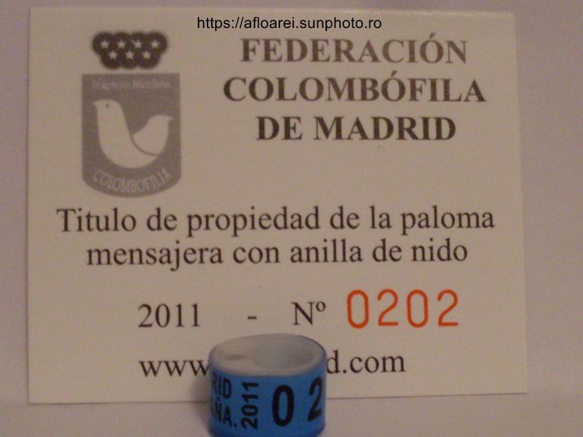 madrid 2011 - MADRID