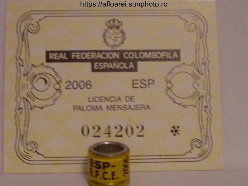 esp 2006 - SPANIA-ESP