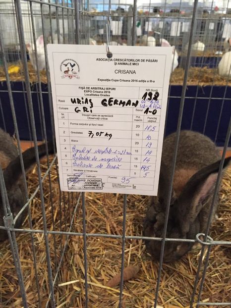 A participat la Expozitia Local Oradea; 95 Puncte DE VANZARE !!!
