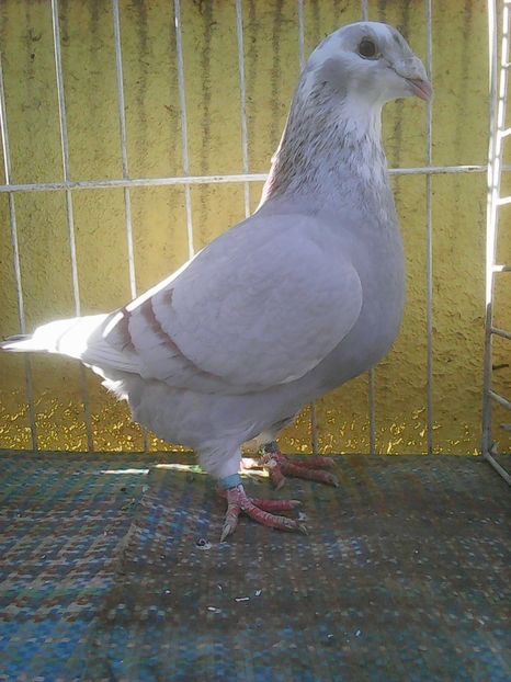 Photo0621