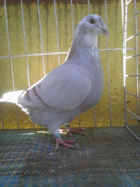 Photo0622