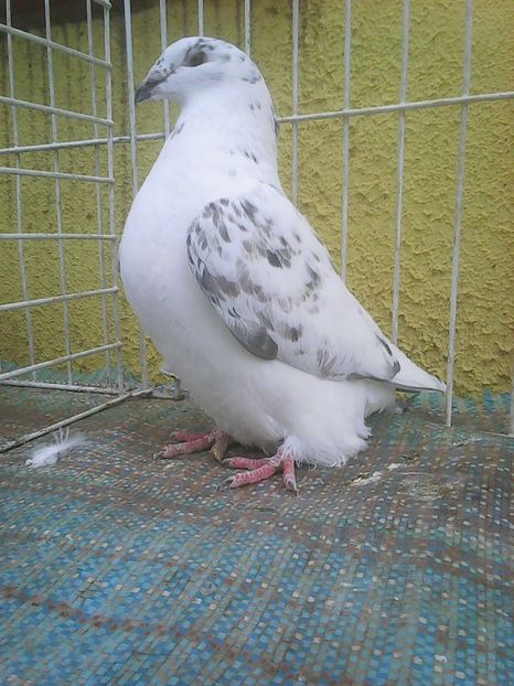 Photo0609