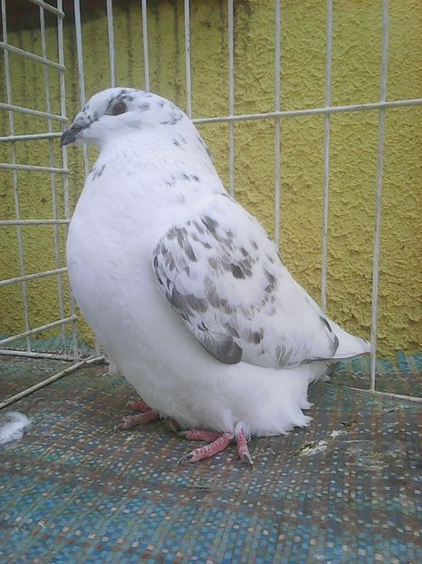 Photo0611