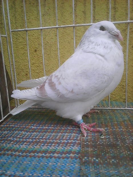 Photo0613