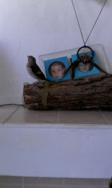  - Pasari de companie