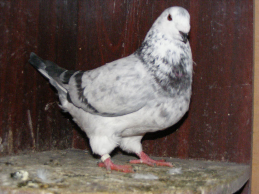 M 2016 VINDUT FEB. 2017