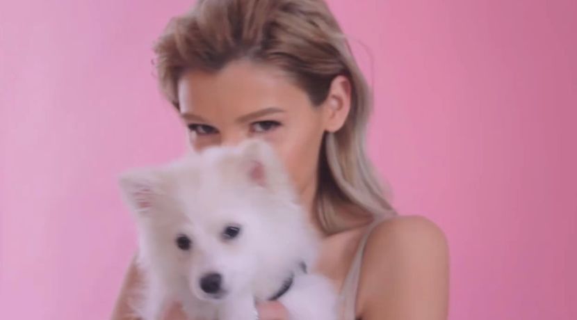 bandicam 2017-01-31 21-10-49-672