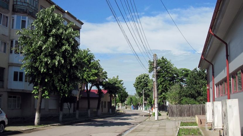 Măcin. Strada - 2016 1