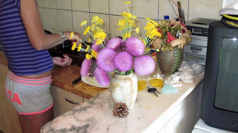 Florile noastre de camp - 2016 2