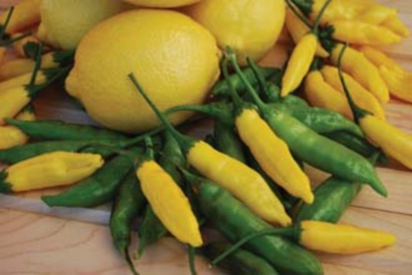 Ardei iute Lemon2