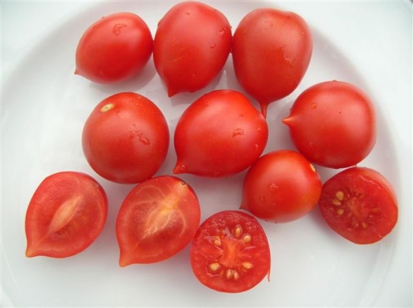 tomate principe borghese0
