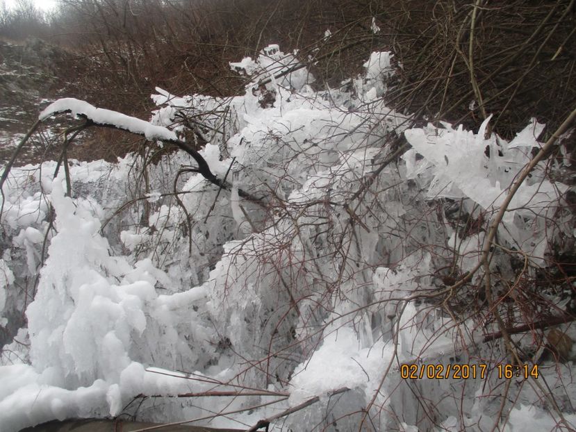  - Valea Sohodolului februarie 2017