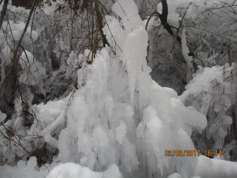  - Valea Sohodolului februarie 2017