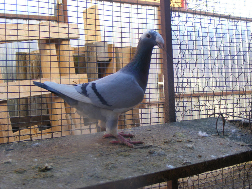 F 2016 VINDUTA FEB. 2017