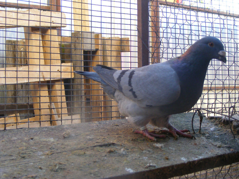 F 2015 VINDUTA FEB. 2017