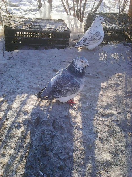 Photo0630