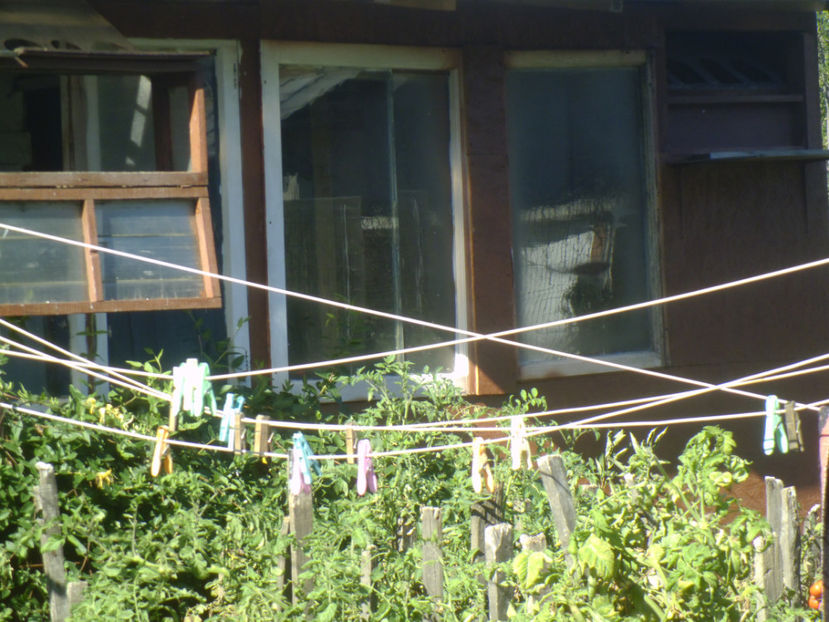 POZE 3 350 - LECTIE DE MORALITATE