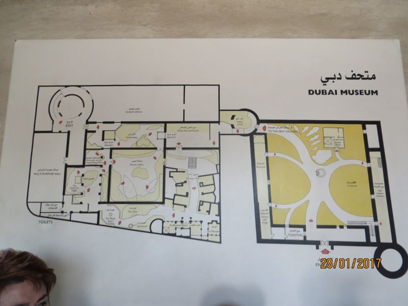  - Emiratele Arabe Oman croaziera MSC Fantasia 2017_Dubai_Abu Dhabi