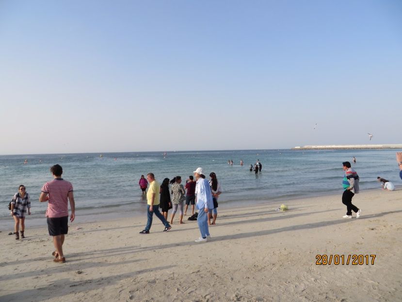  - Emiratele Arabe Oman croaziera MSC Fantasia 2017_Dubai_Abu Dhabi