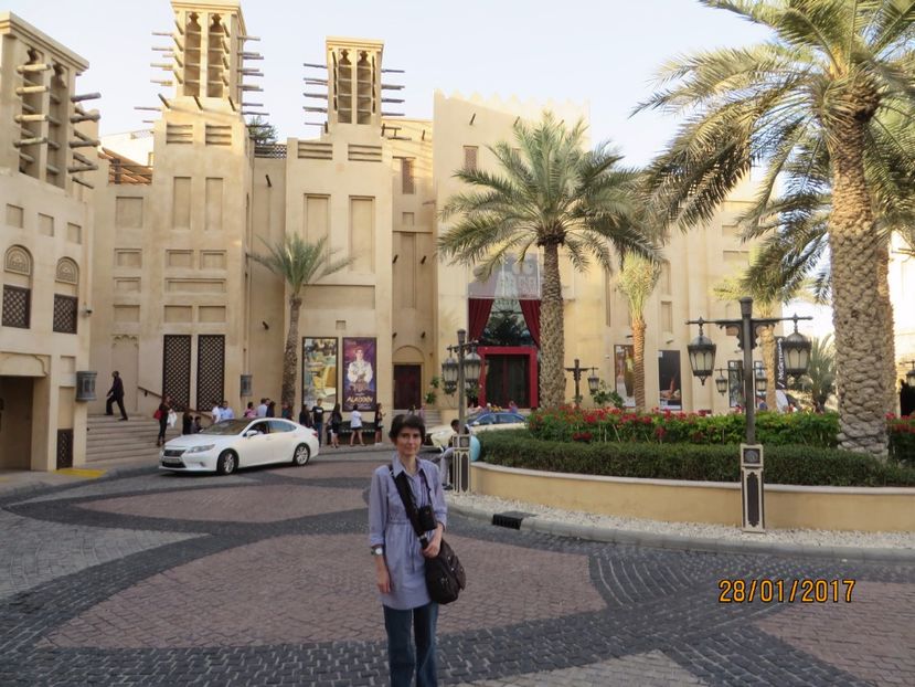  - Emiratele Arabe Oman croaziera MSC Fantasia 2017_Dubai_Abu Dhabi