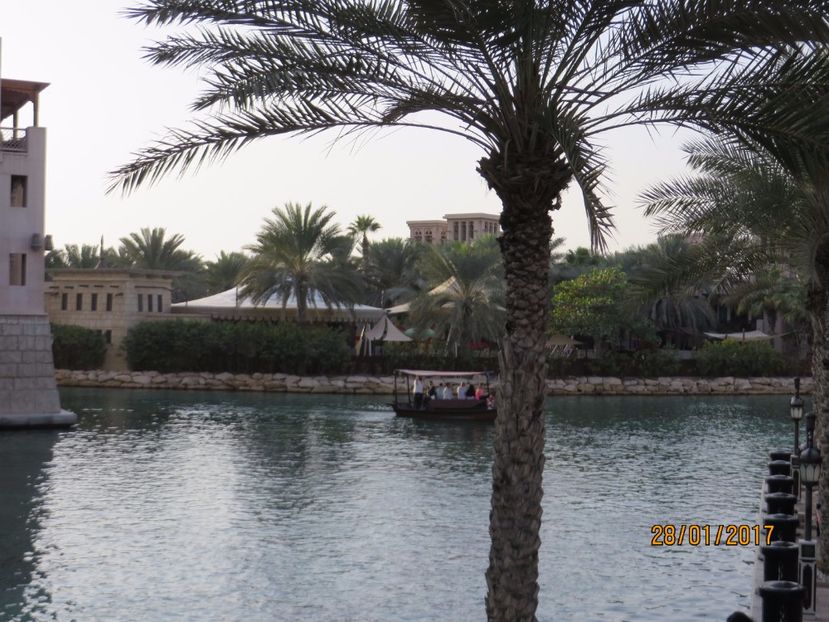  - Emiratele Arabe Oman croaziera MSC Fantasia 2017_Dubai_Abu Dhabi