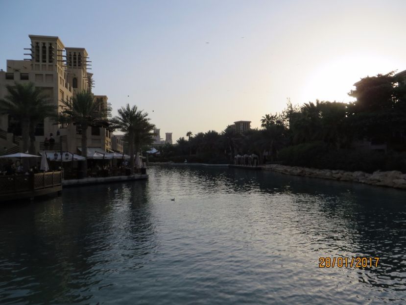  - Emiratele Arabe Oman croaziera MSC Fantasia 2017_Dubai_Abu Dhabi