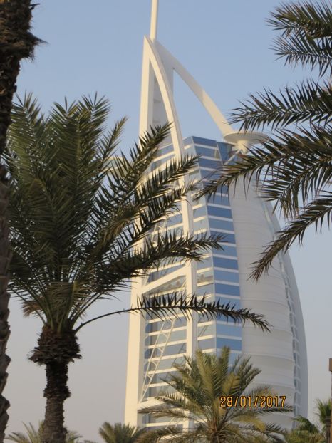  - Emiratele Arabe Oman croaziera MSC Fantasia 2017_Dubai_Abu Dhabi