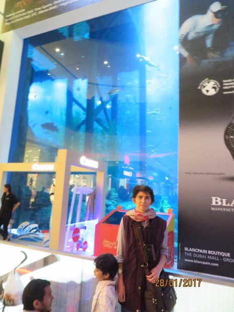  - Emiratele Arabe Oman croaziera MSC Fantasia 2017_Dubai_Abu Dhabi