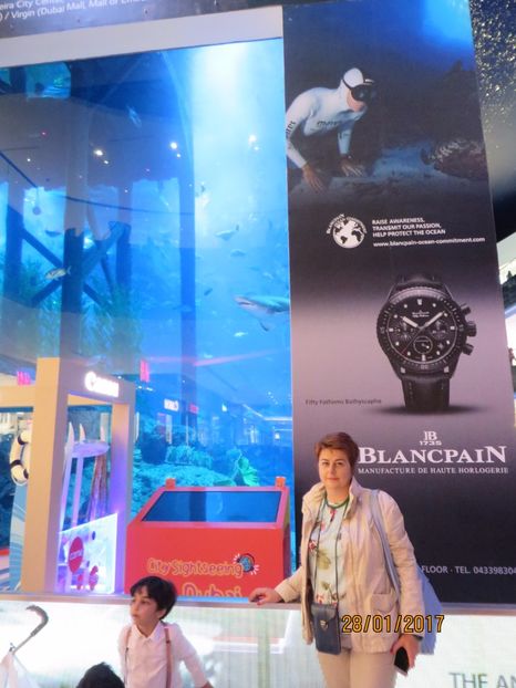  - Emiratele Arabe Oman croaziera MSC Fantasia 2017_Dubai_Abu Dhabi