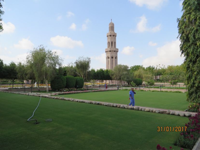  - Emirate 2_Vapor MSC_Muscat Oman