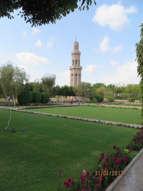  - Emirate 2_Vapor MSC_Muscat Oman