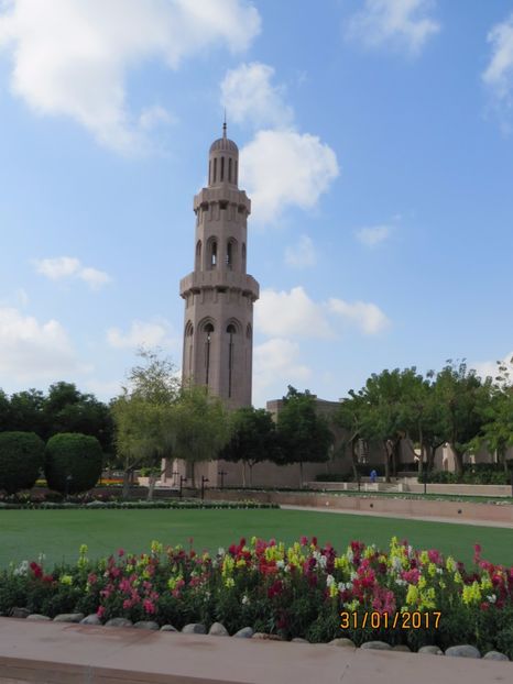  - Emirate 2_Vapor MSC_Muscat Oman